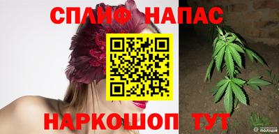 индика Балахна
