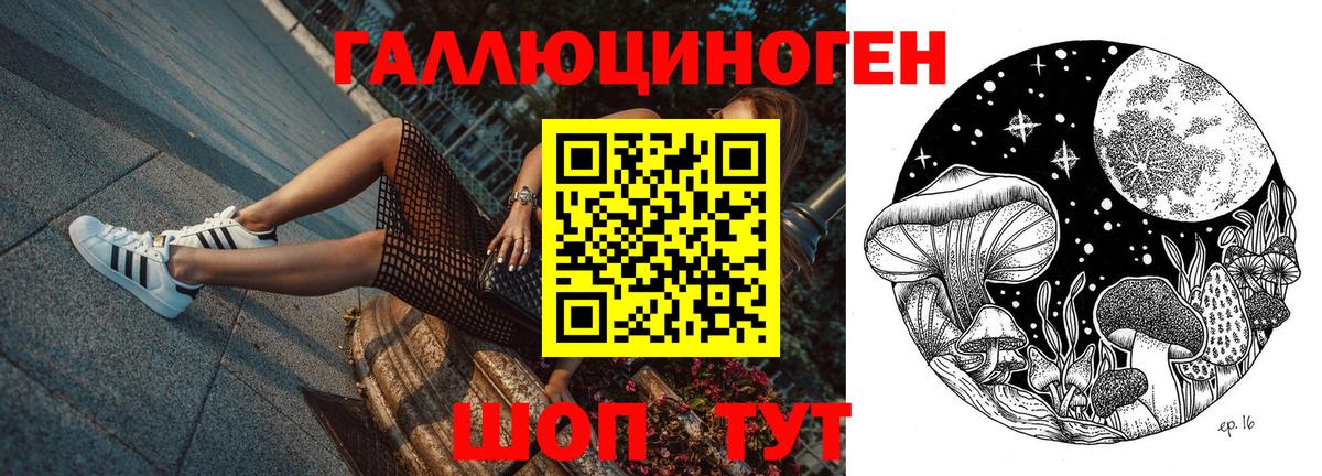 Галлюциногенные грибы Psilocybine cubensis  Вход с VPN  наркошоп  Артёмовский 