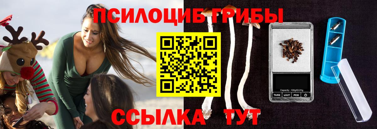 Псилоцибиновые грибы мицелий Артёмовский