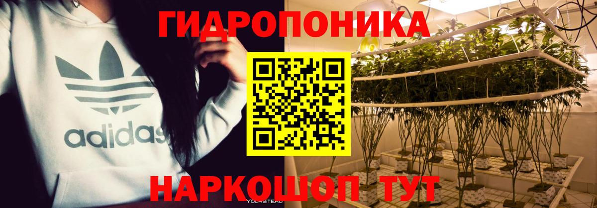 Бошки марихуана марихуана  Бошки Шишки конопля  Вход с VPN  Артёмовский  МАРИХУАНА ГИДРОПОН  Марихуана ГИДРОПОН 